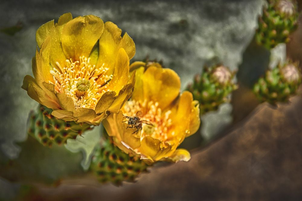 Photograph by Владимир Бутов