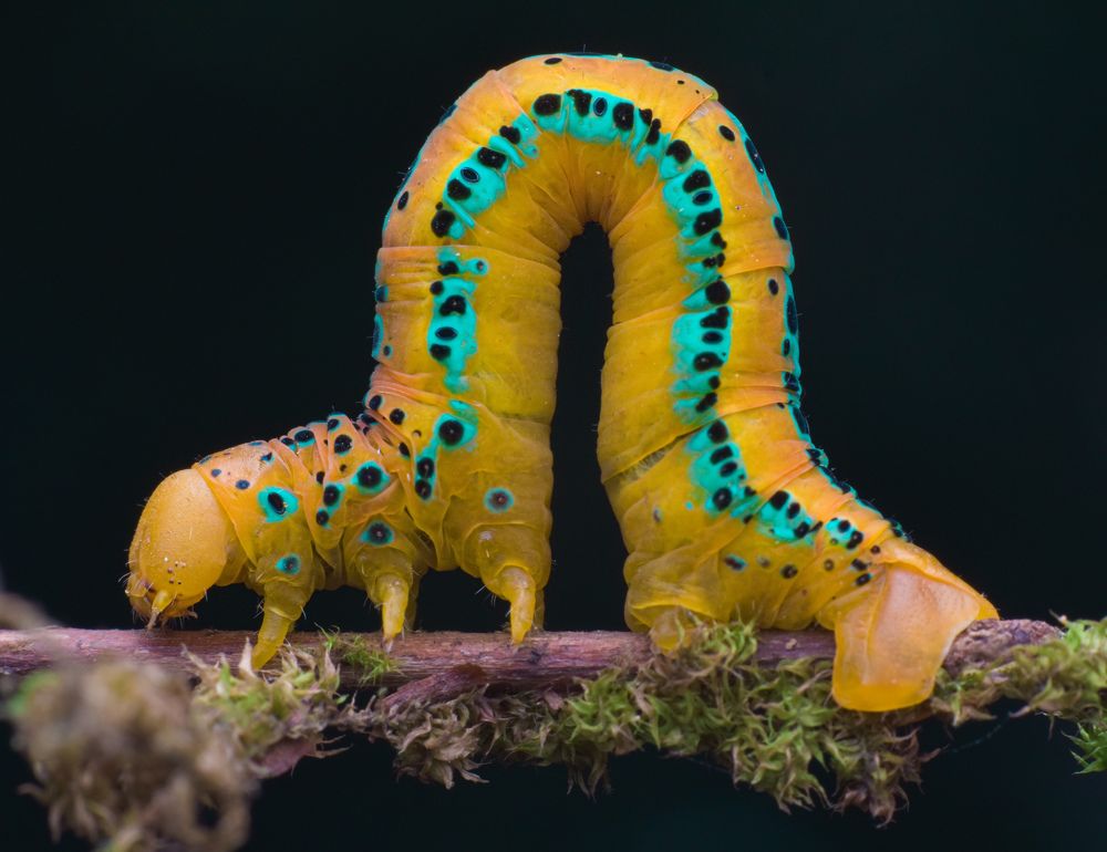 Photograph by MALLIKARJUN Manjari
