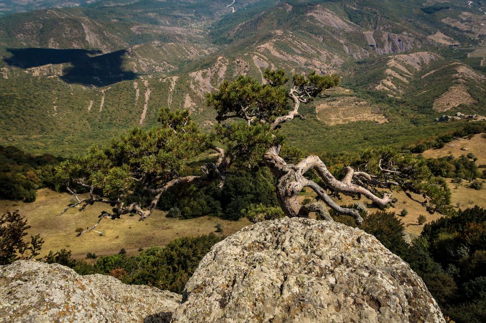 Photograph by Игорь Сидун