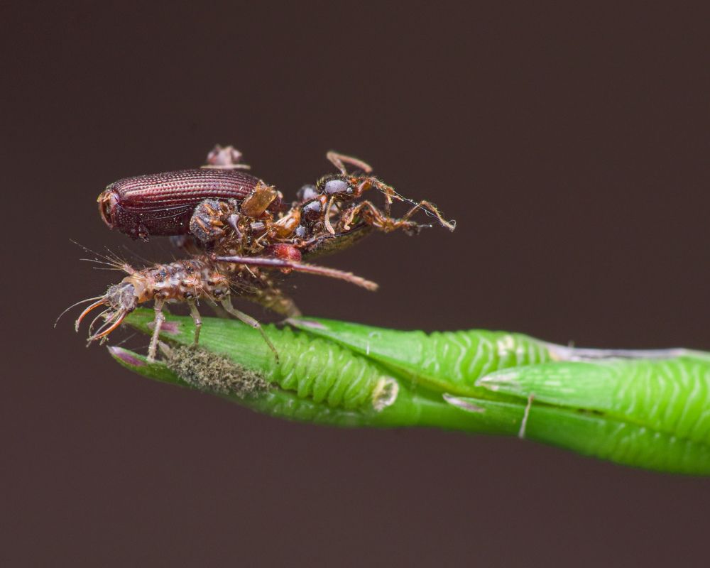 Photograph by MALLIKARJUN Manjari