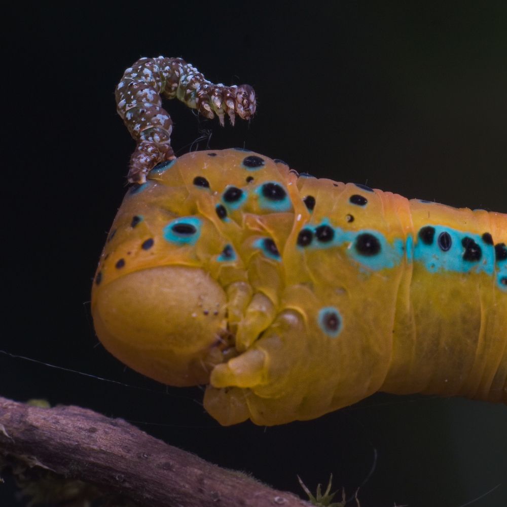 Photograph by MALLIKARJUN Manjari