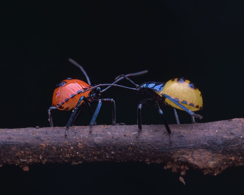 Photograph by MALLIKARJUN Manjari