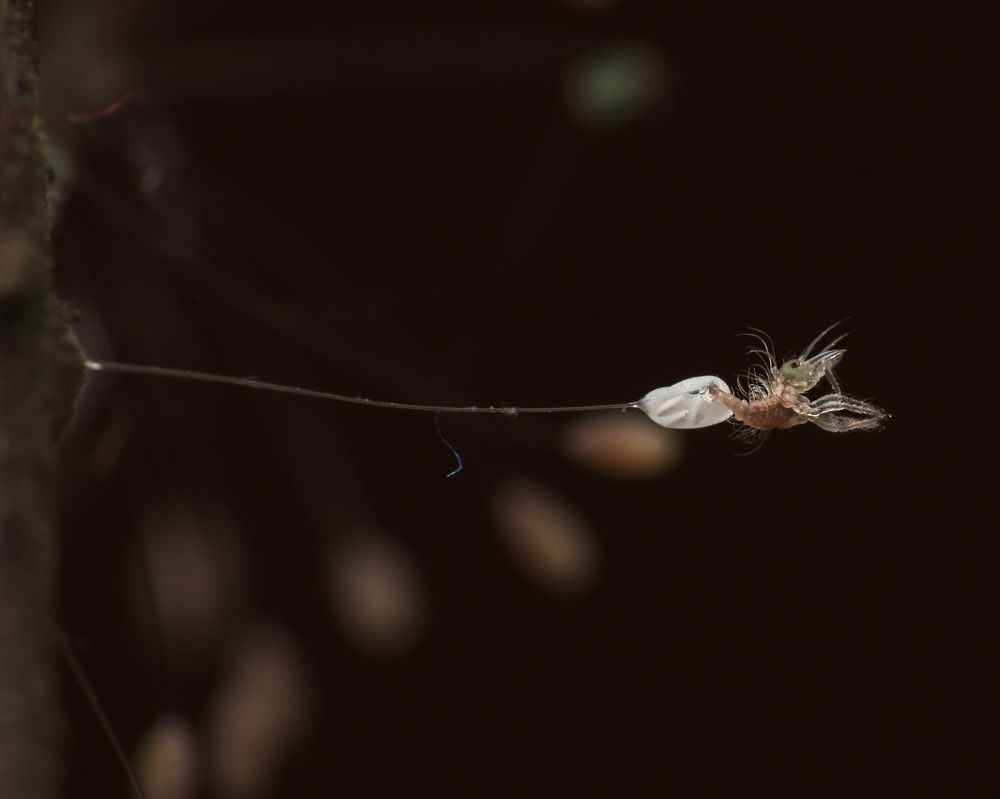 Photograph by MALLIKARJUN Manjari