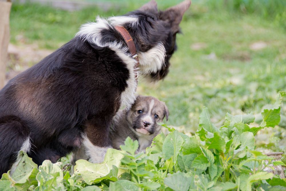 Photograph by Алёна Землянухина