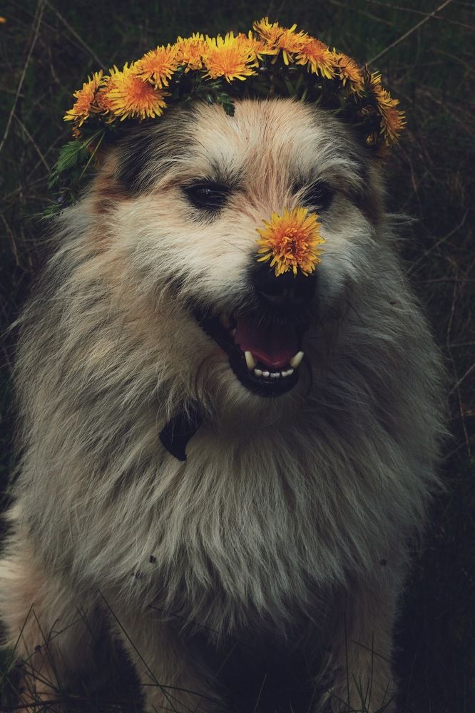 Photograph by Дмитрий Стадницкий