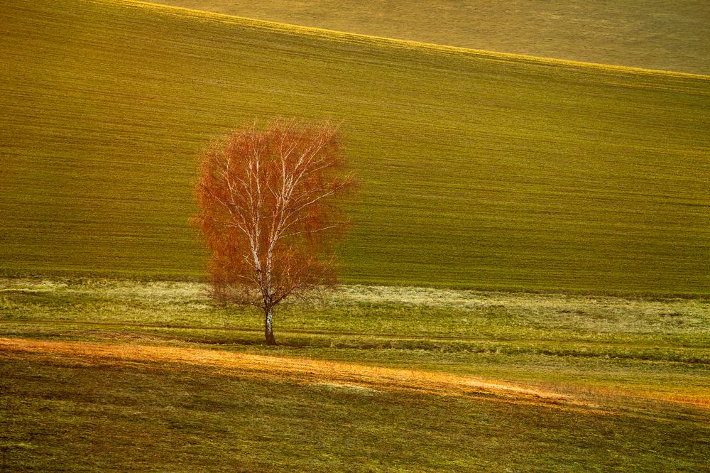 Mystery of Landscape IV