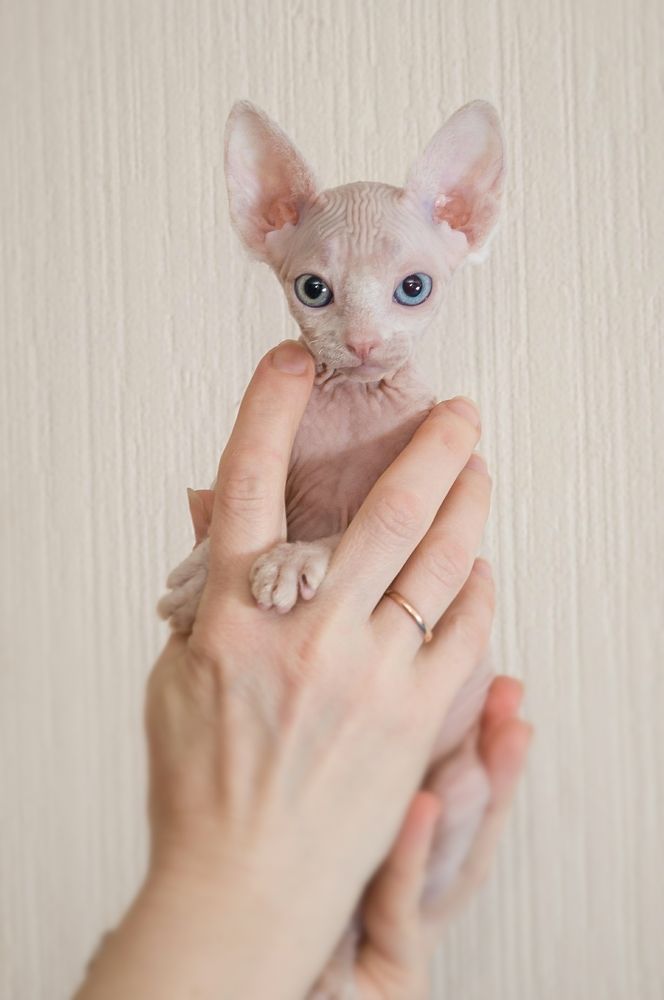 Photograph by Ясинский Юрий