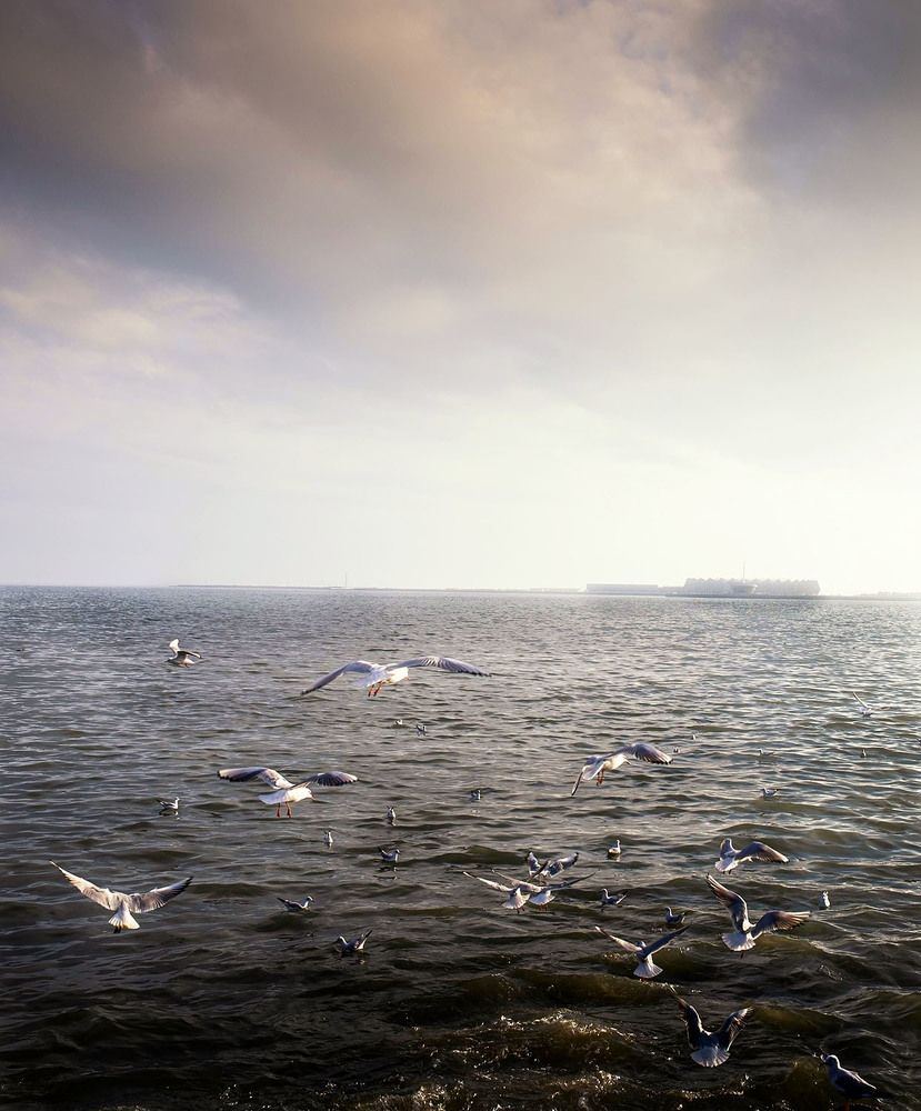 Photograph by Диляра Шарифзаде