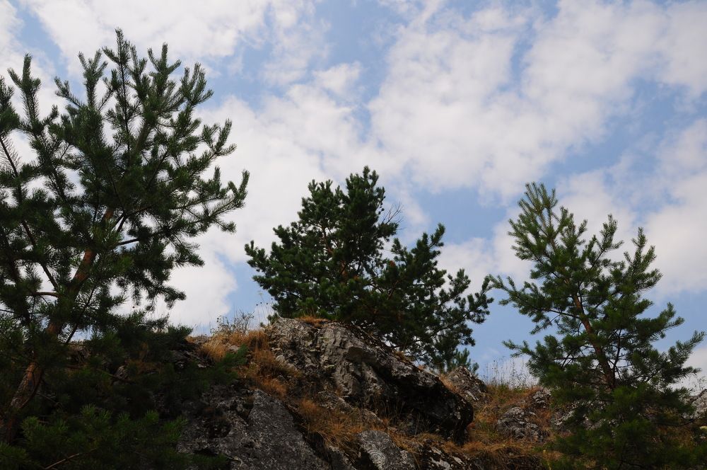 Photograph by Наталия Акимова