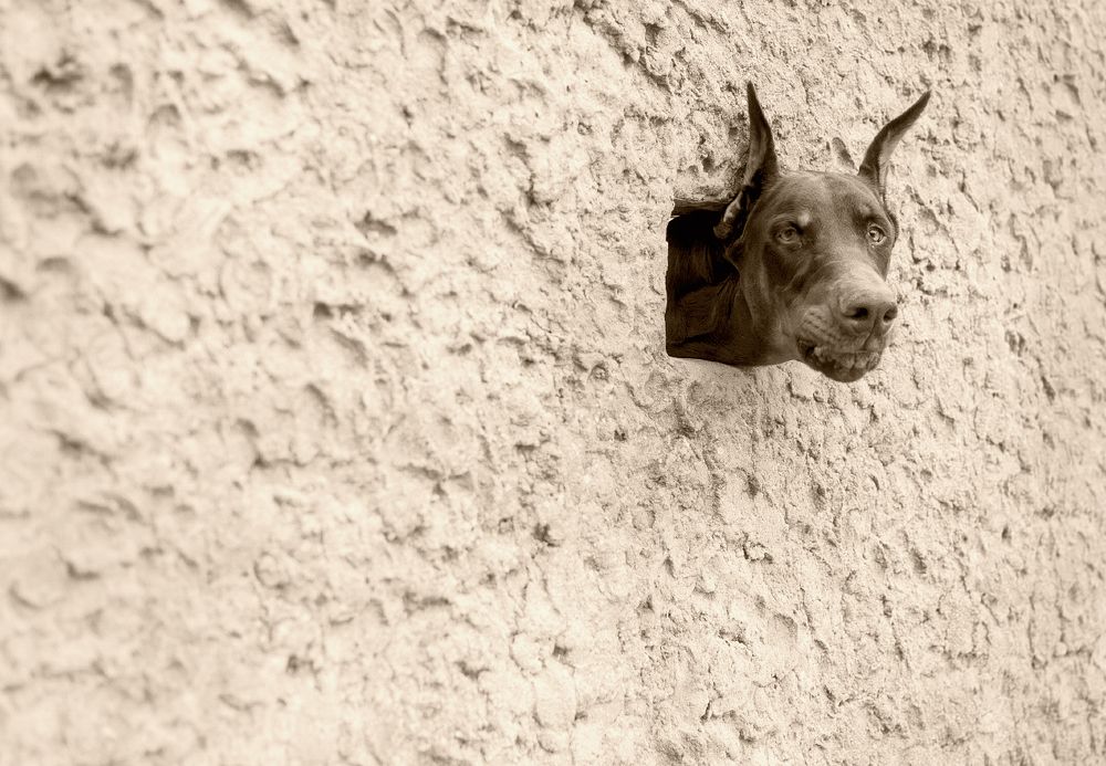 Photograph by Александр Белянский