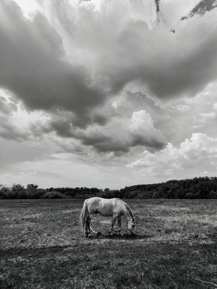 Photograph by Евгений Некрошевич