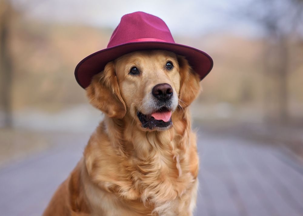 Photograph by Виктория Дубровская