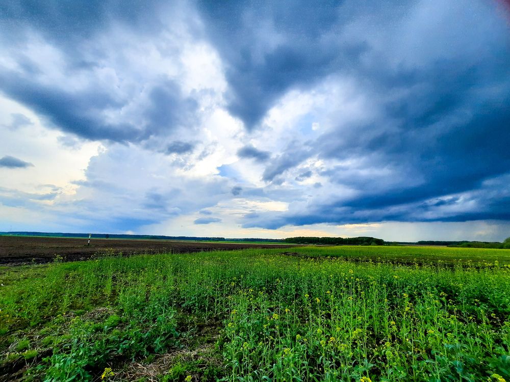 Photograph by Светлана Лебедева