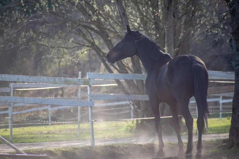 Фотография автора Aлексей Игнатьев