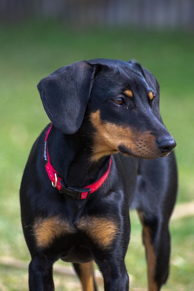 Фотография автора Aлексей Игнатьев