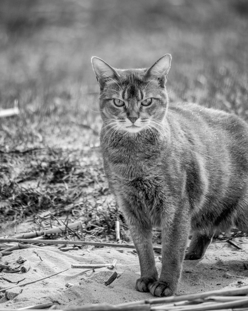 Фотография автора Aлексей Игнатьев