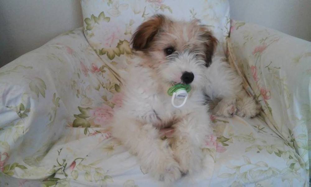 Photograph by Umur SAZAN