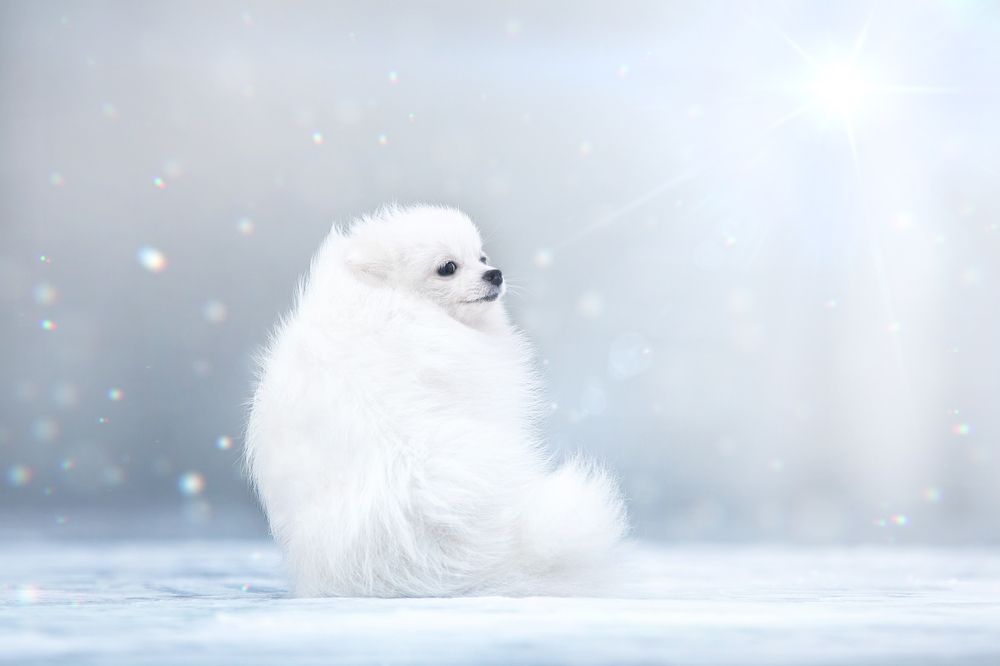 Photograph by Татьяна Тихомирова