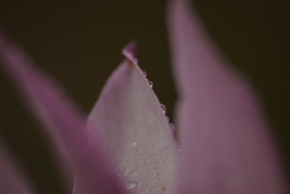 Photograph by Magdalena Wysztygiel