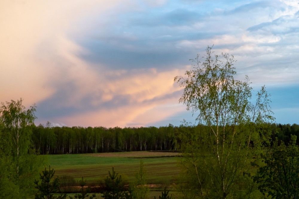 Фотография автора Aлексей Игнатьев