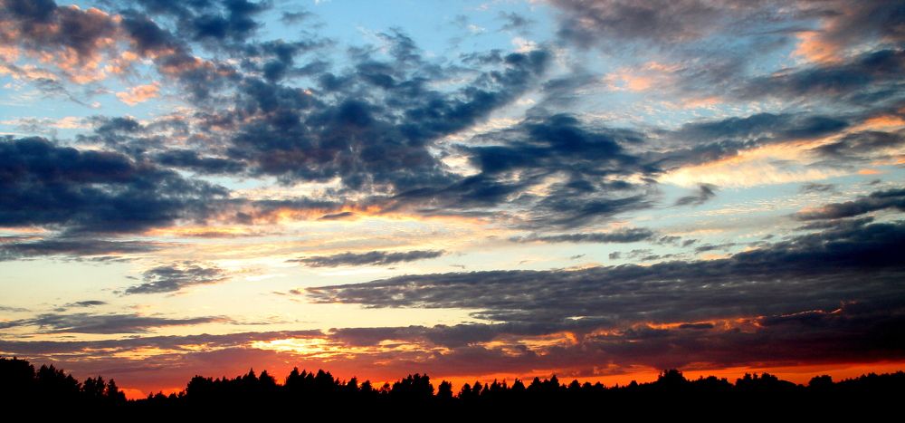 Photograph by Александр Быкадоров