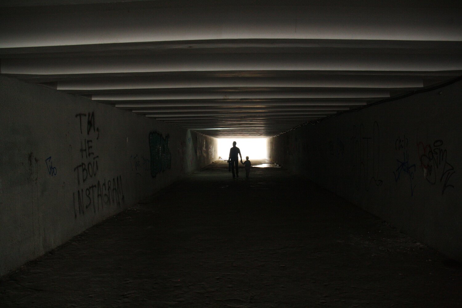 Photo #6098713