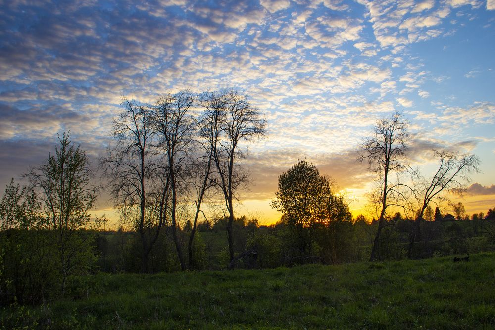 Photograph by Ирина Толокнова