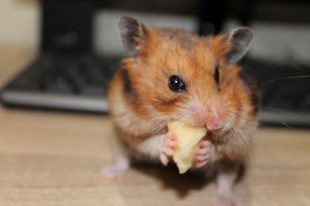 Photograph by Александр Быкадоров