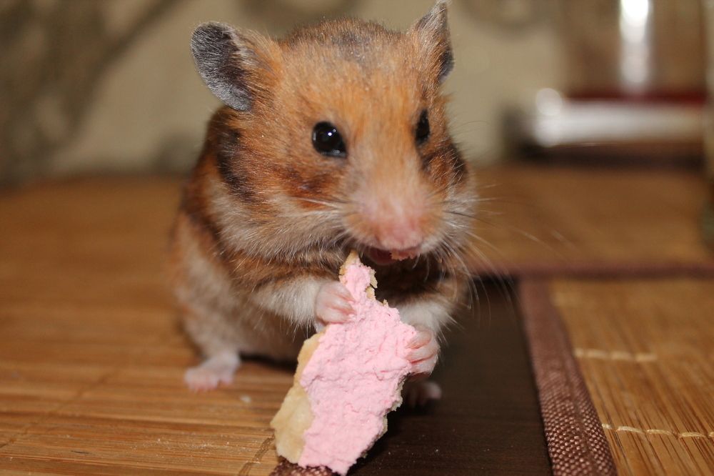 Photograph by Александр Быкадоров