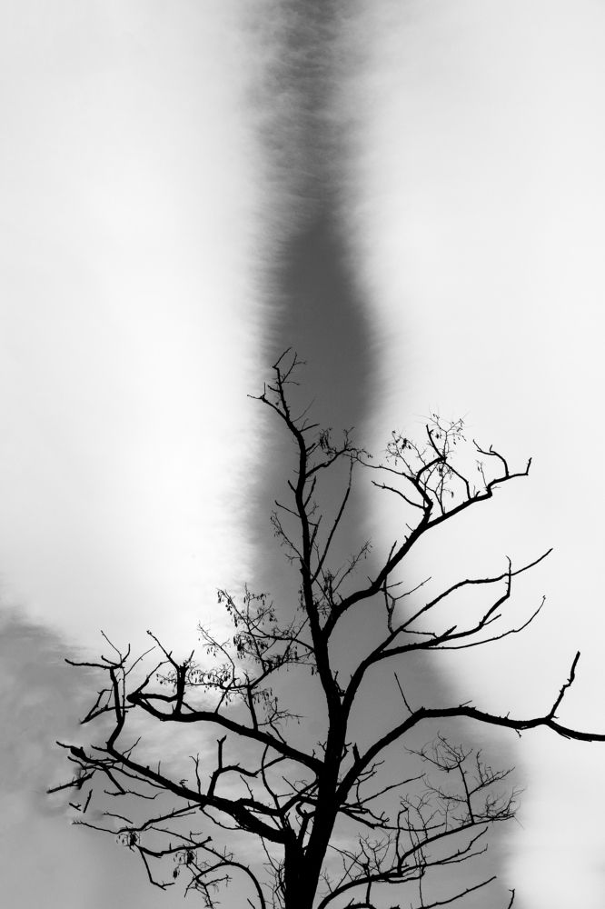 Photograph by Daniele Rossi