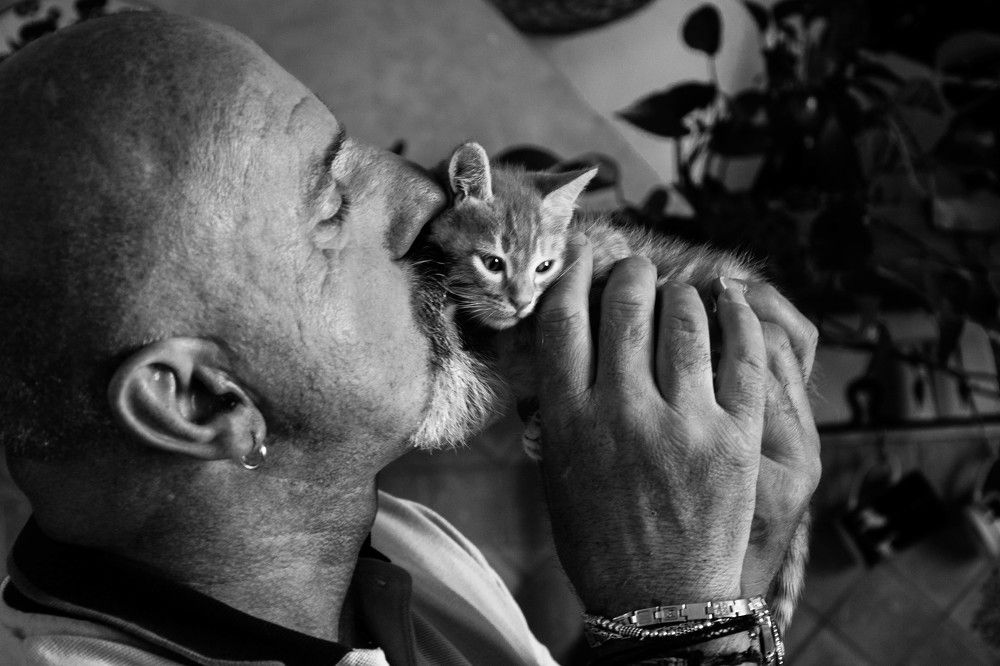 A big kiss for a little cat