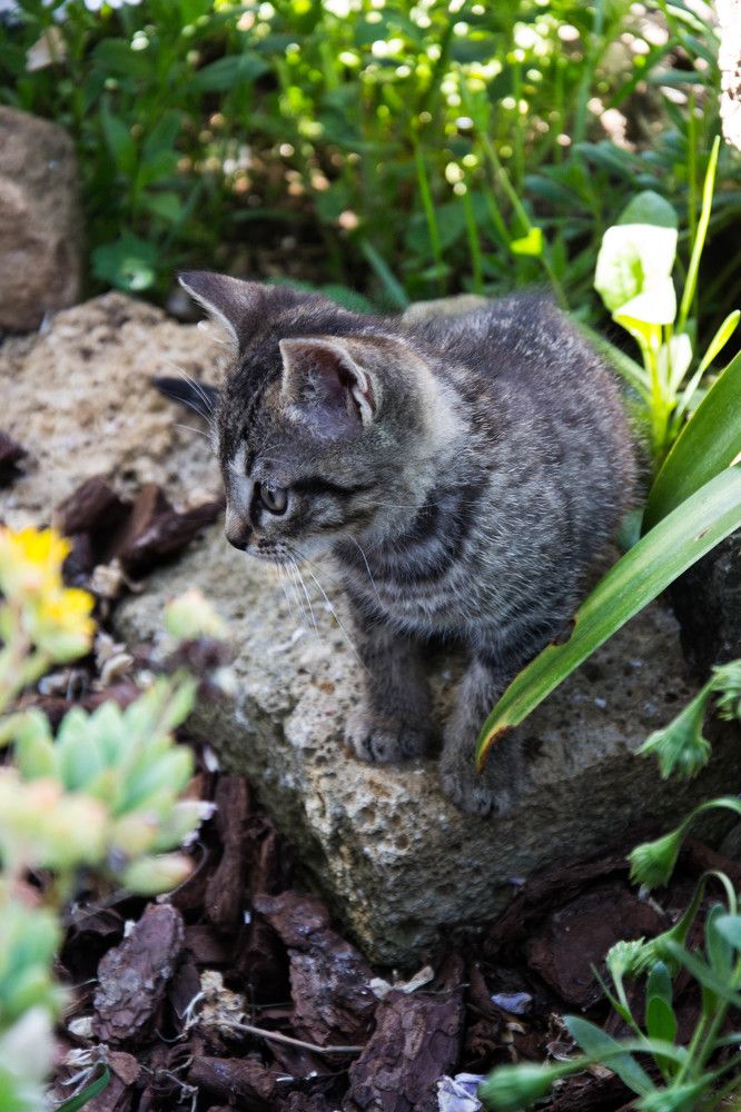 Photograph by Ludovica Maria Amodeo