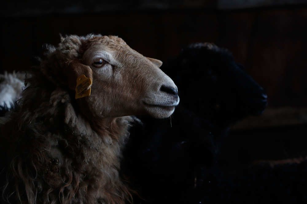 Photograph by Рания Шарипова