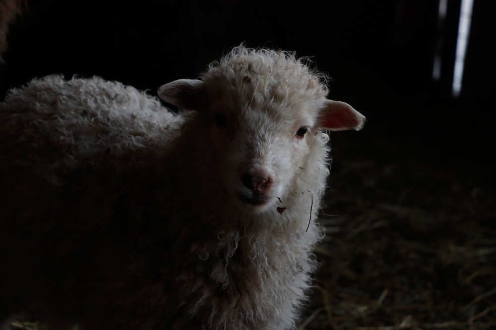 Photograph by Рания Шарипова