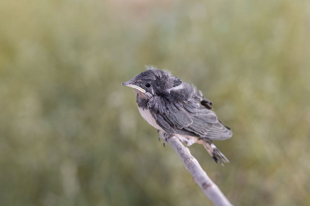 Photograph by Ahmēd ELkàdiki