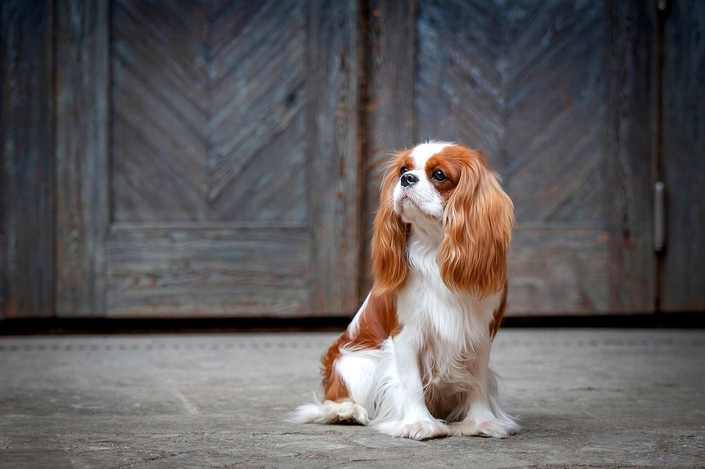 Photograph by Татьяна Тихомирова