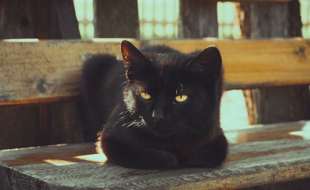 Photograph by Сергей Долгий