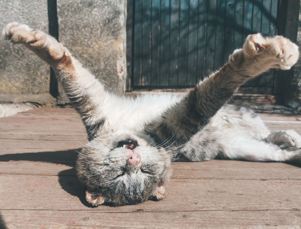 Photograph by Сергей Долгий