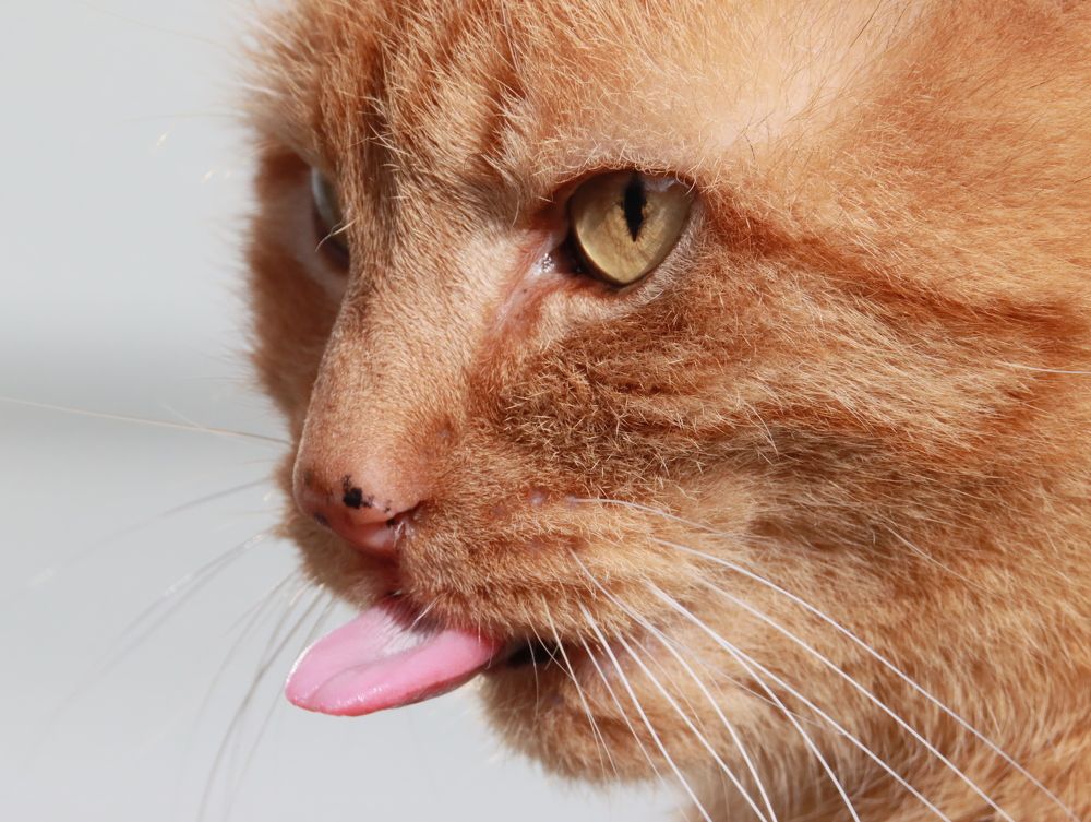 Photograph by Anja kroes