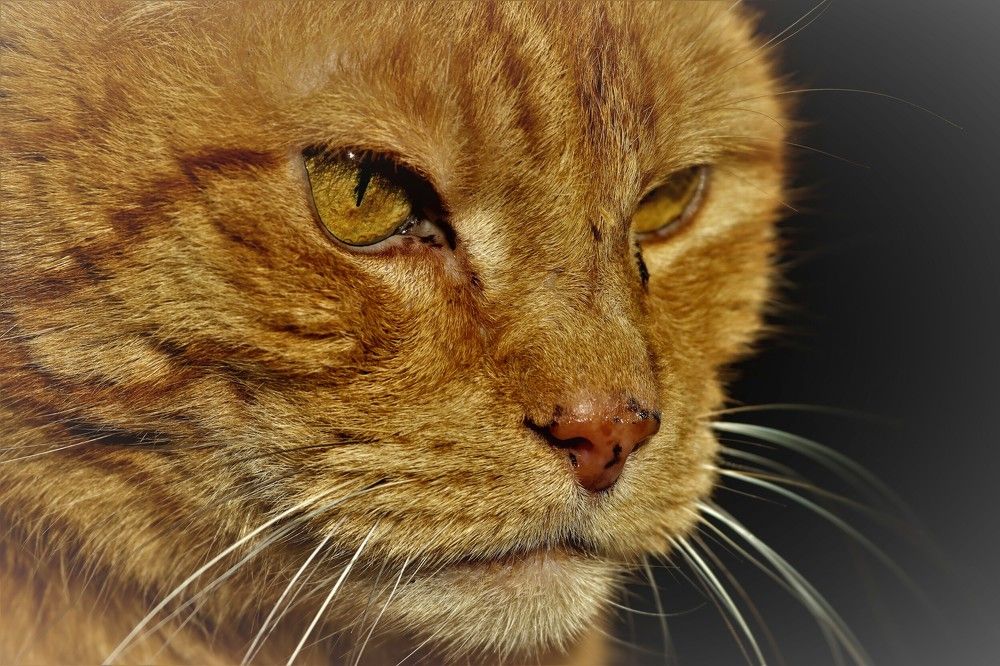 Photograph by Anja kroes