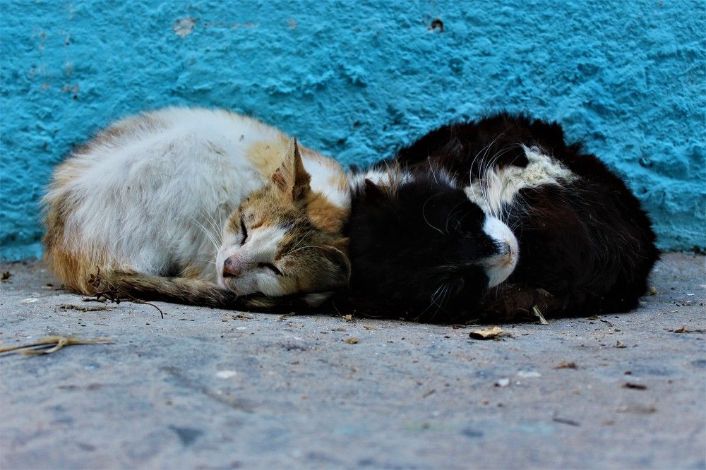 Photograph by Bacem NEFZI