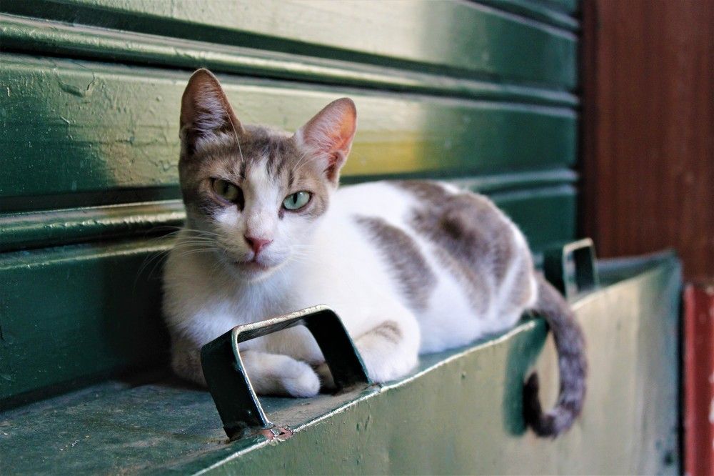 Photograph by Bacem NEFZI