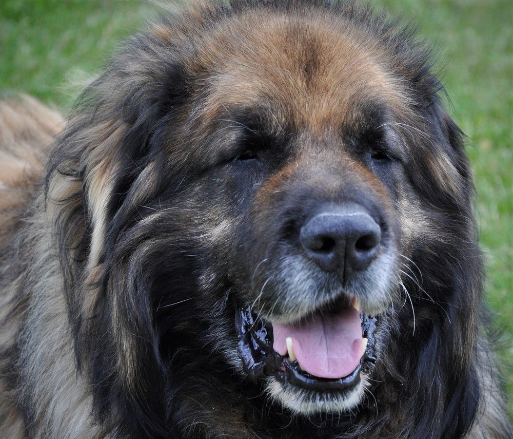 Photograph by Юлия Лис-а