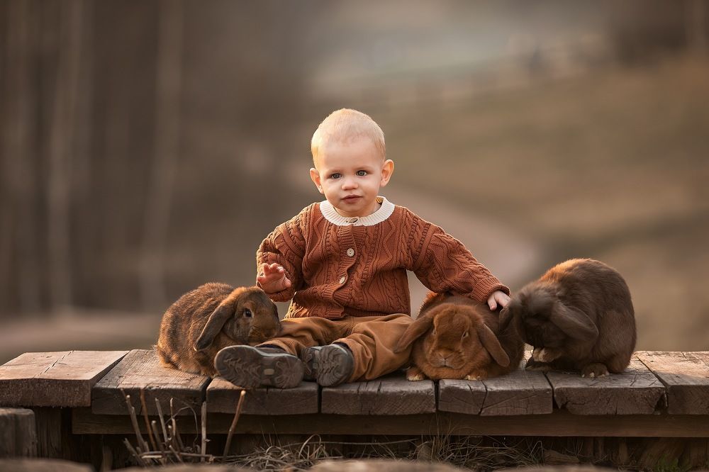 Фотография автора Анна Крутицкая