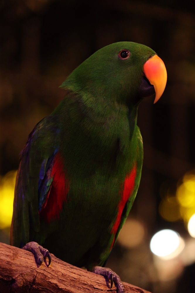 Photograph by Sami khalil