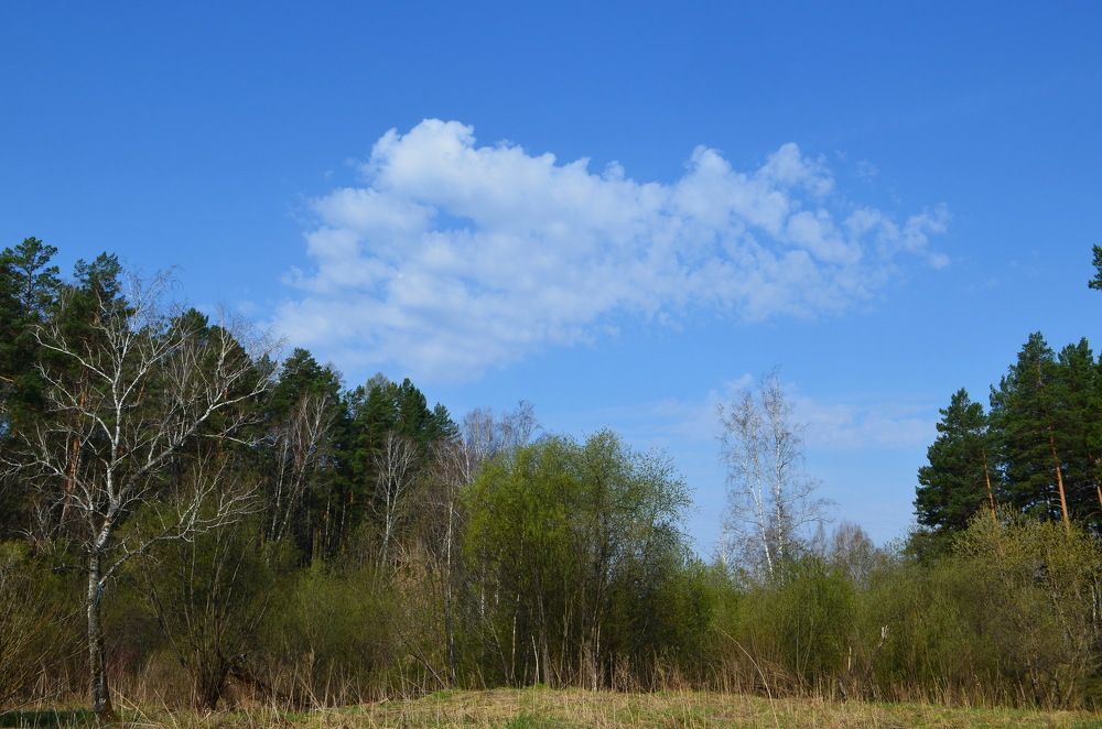 Photograph by Anna Kichapina