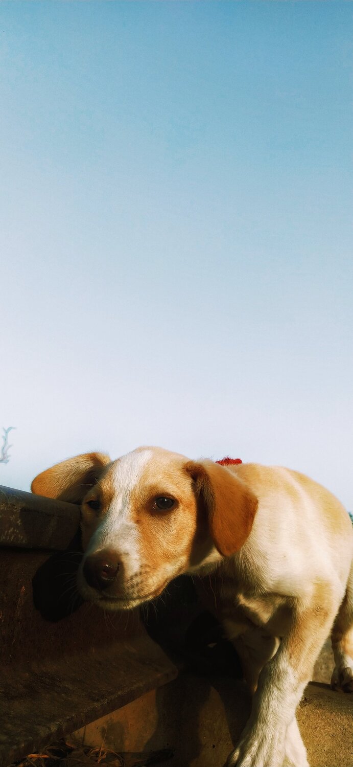 Photo #6099224