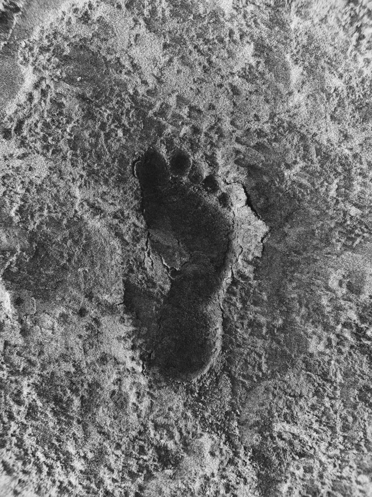 Photograph by Mahmoud Ahmed