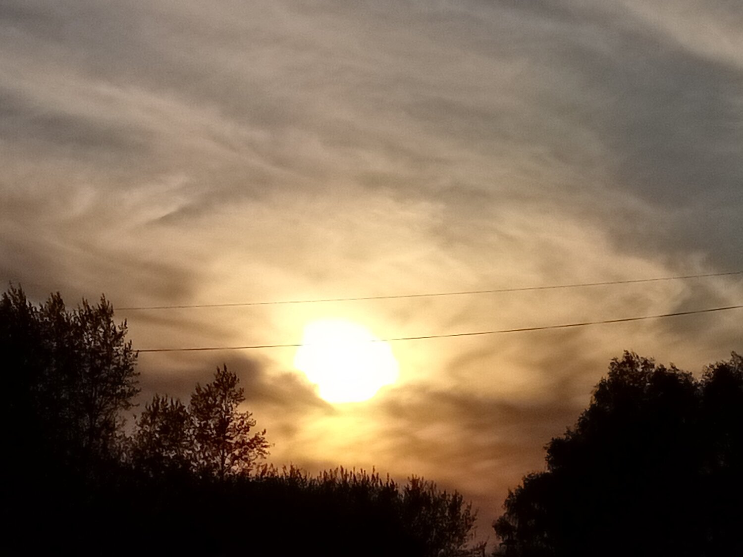 Photo #6099331