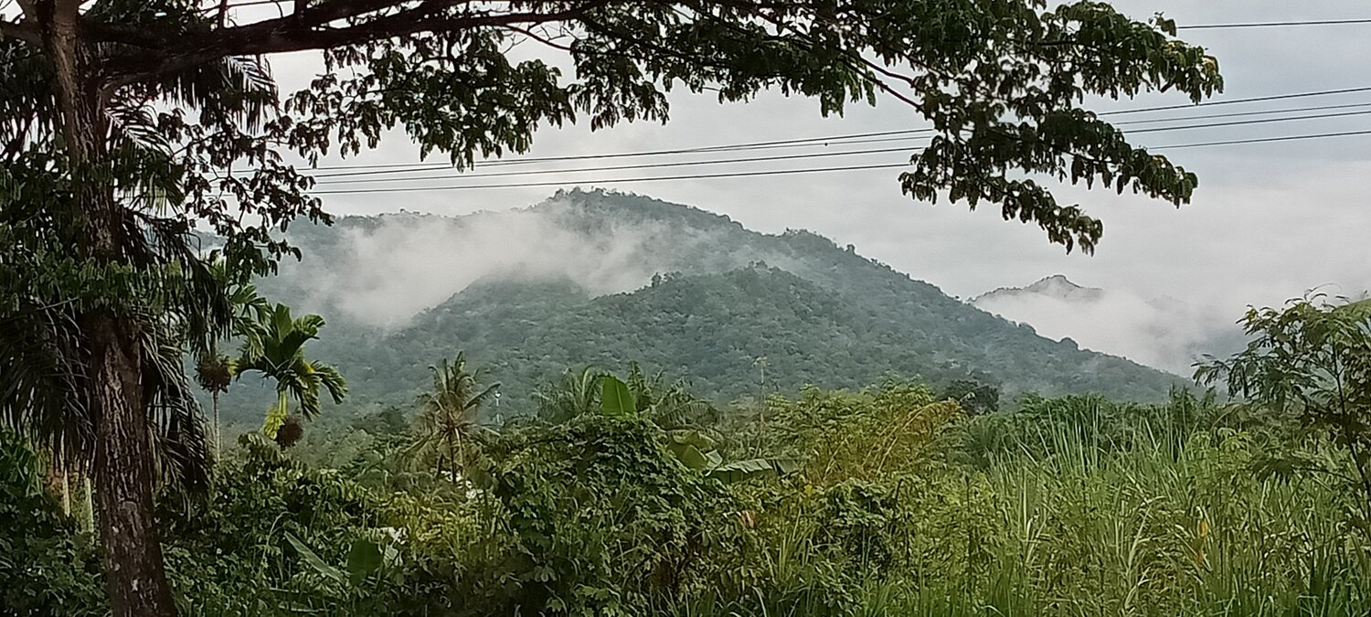 Photo #6099356